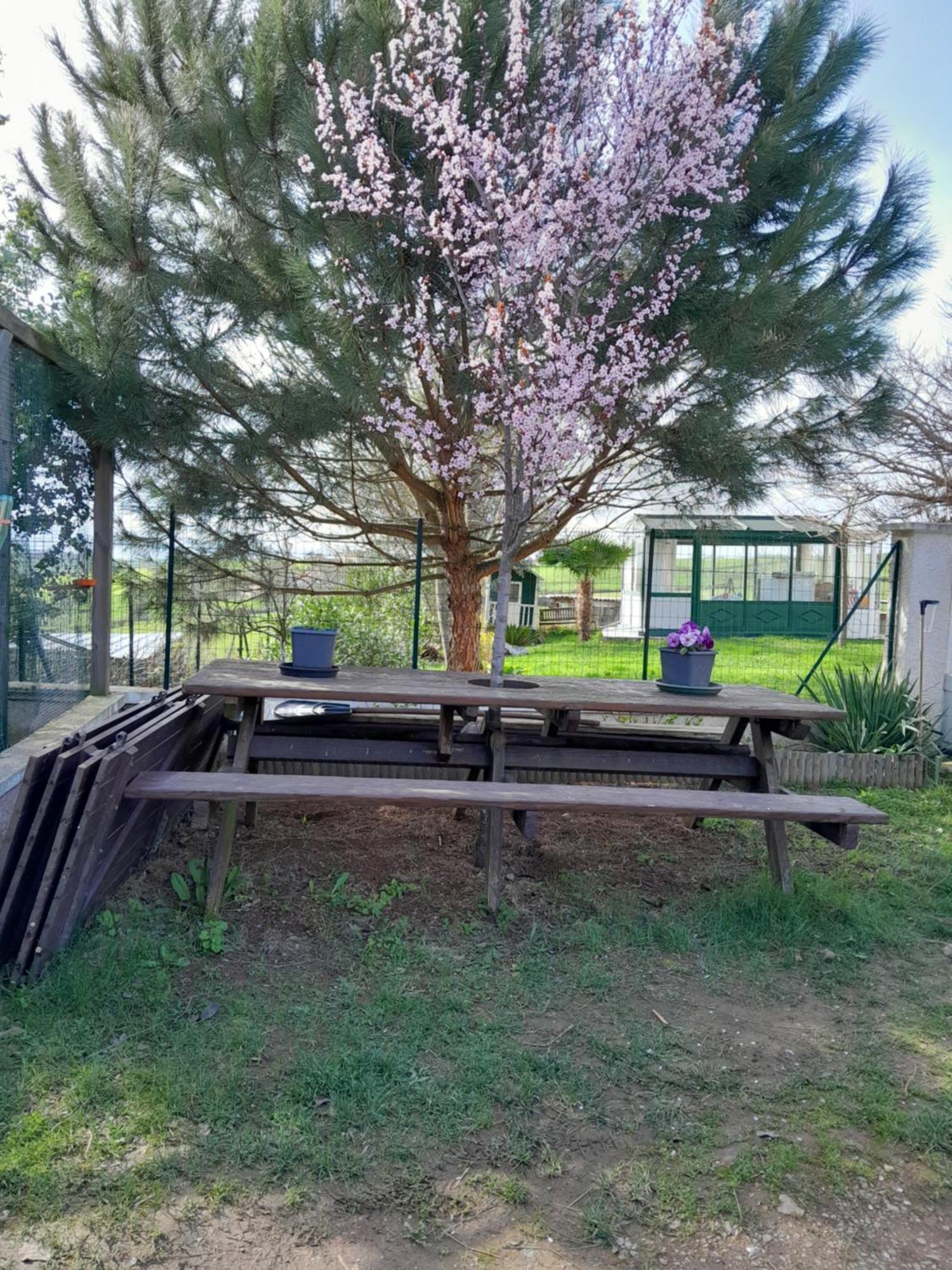 Jarnosse Chambres D Hotes Au P'Tit Bonheur Campagnard المظهر الخارجي الصورة