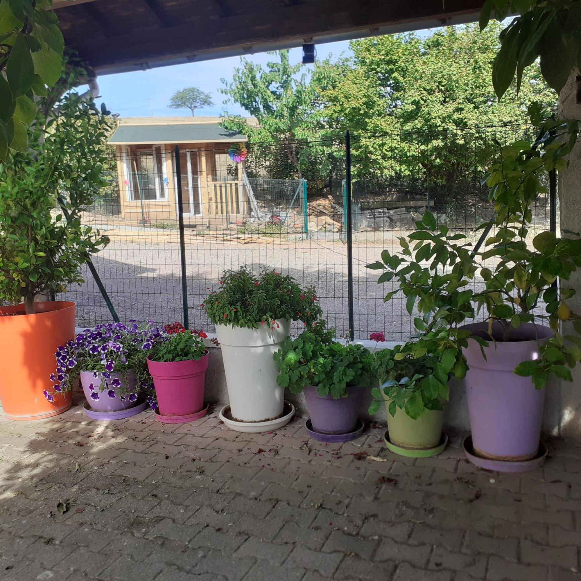 Jarnosse Chambres D Hotes Au P'Tit Bonheur Campagnard المظهر الخارجي الصورة